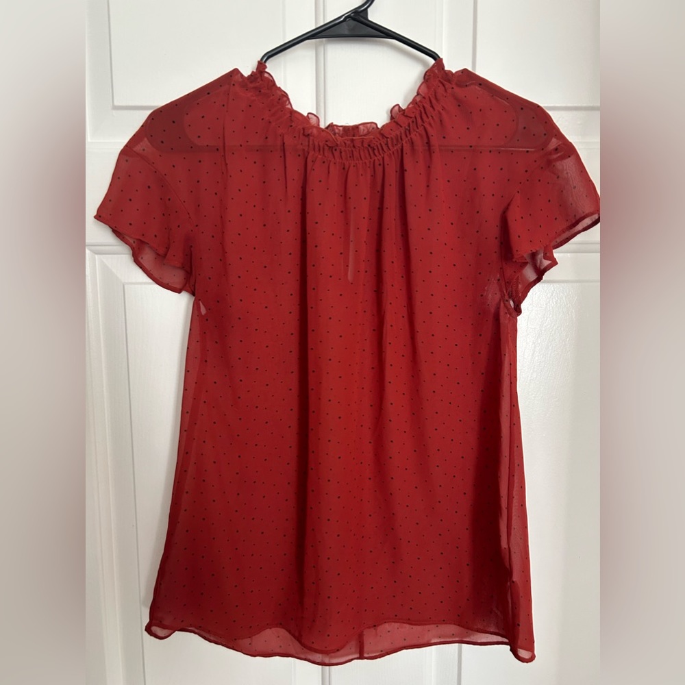 Express Sheer Top